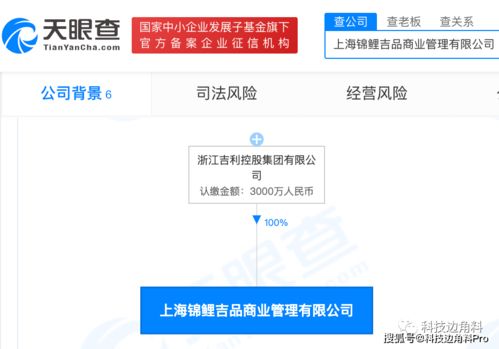 吉利控股拓展業(yè)務(wù)版圖 錦鯉吉品管理公司成立，聚焦互聯(lián)網(wǎng)銷售新機遇